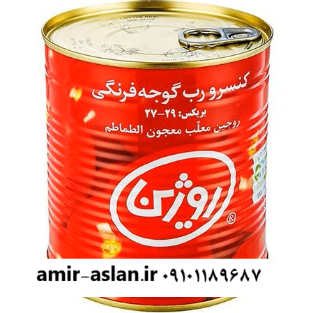 رب گوجه فرنگی روژین مقدار 800 گرم