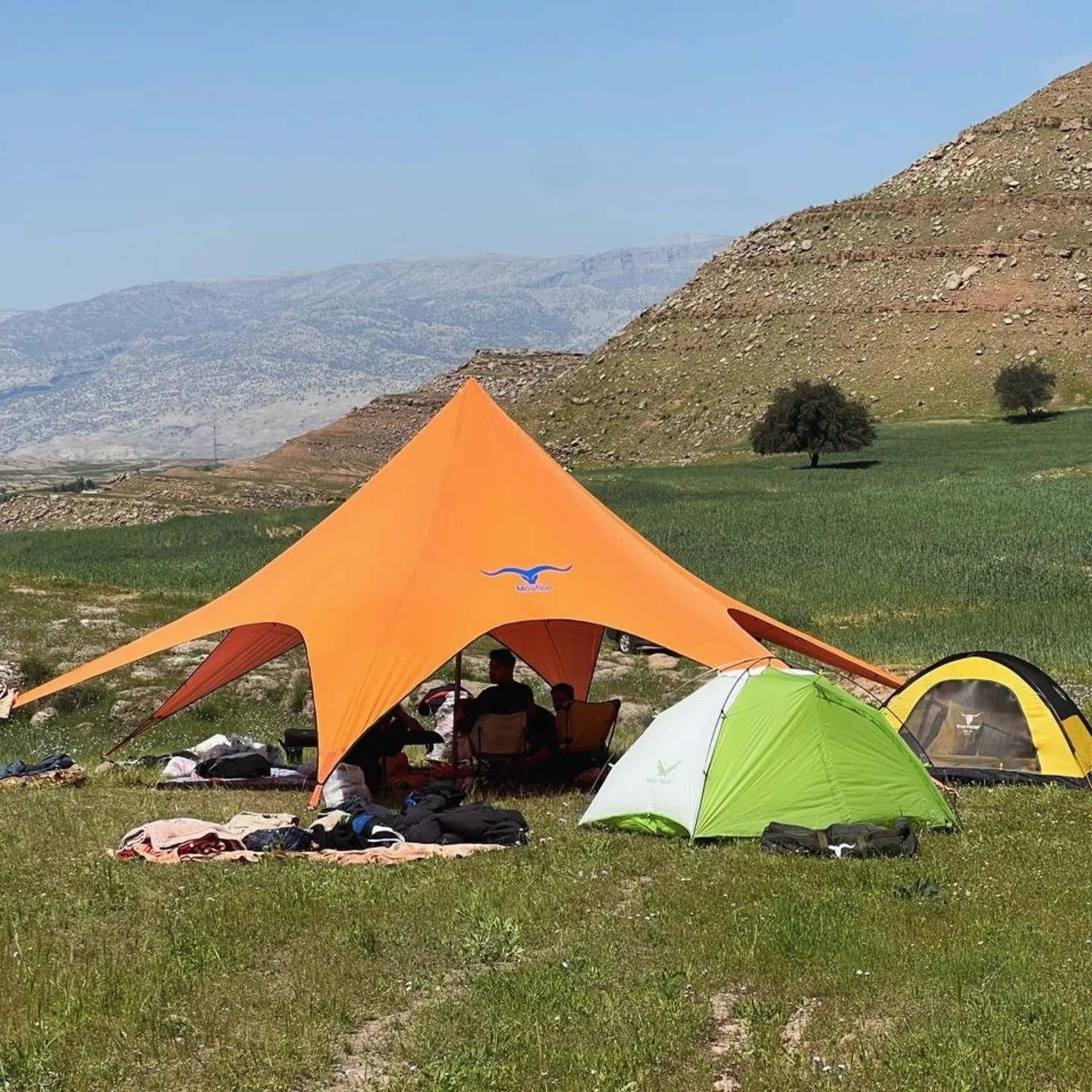 سایبان ستاره ایی موفلان سایز 12 (پس کرایه)